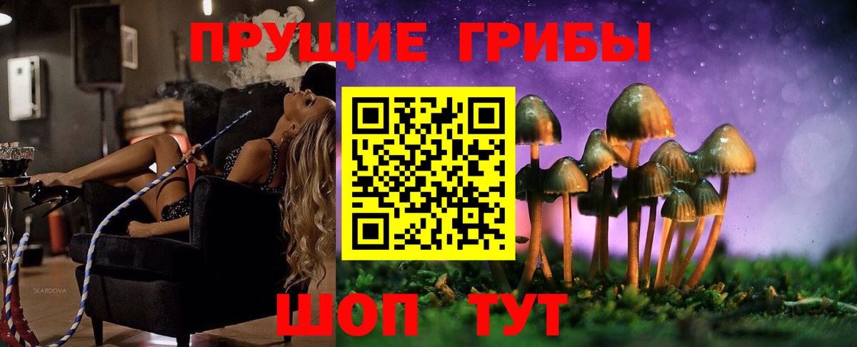 Коркино  Псилоцибиновые грибы Magic Shrooms  Псилоцибиновые грибы Psilocybine cubensis  наркота  Вход с VPN 